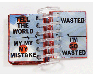 MY WASTED MISTAKE book