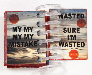 MY WASTED MISTAKE book